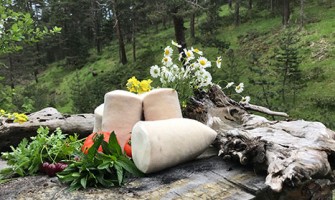 Kargı Tulum Peyniri Yapımına Nasıl Başladık ?